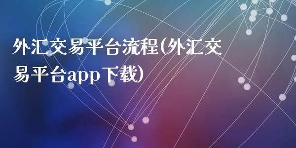 外汇交易平台流程(外汇交易平台app下载)
